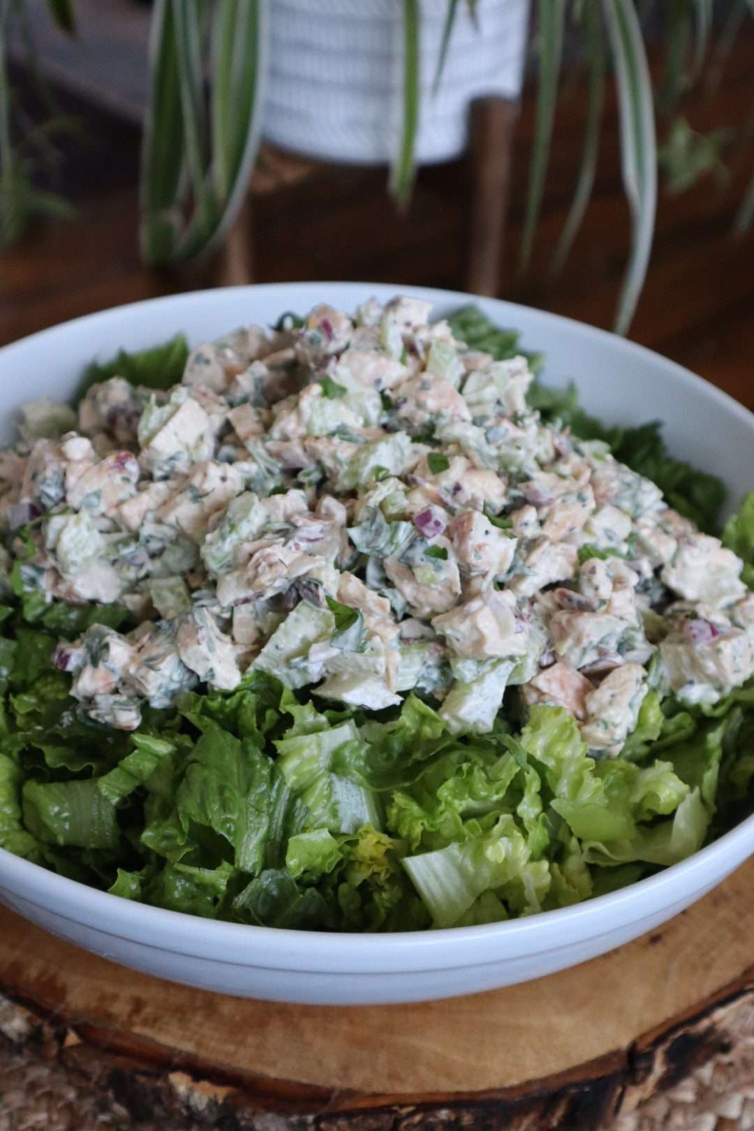 chicken salad